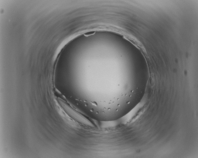 X0000071821530200607141622