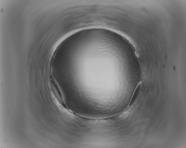 X0000071821534200607141623