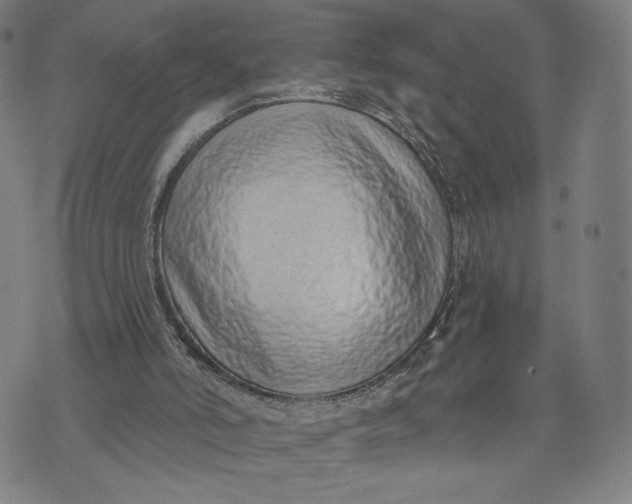 X0000071820006200607211748