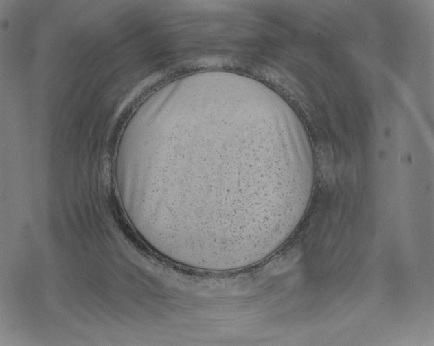 X0000071820016200607211748
