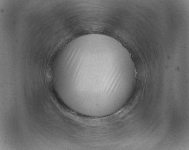 X0000071820040200607211748