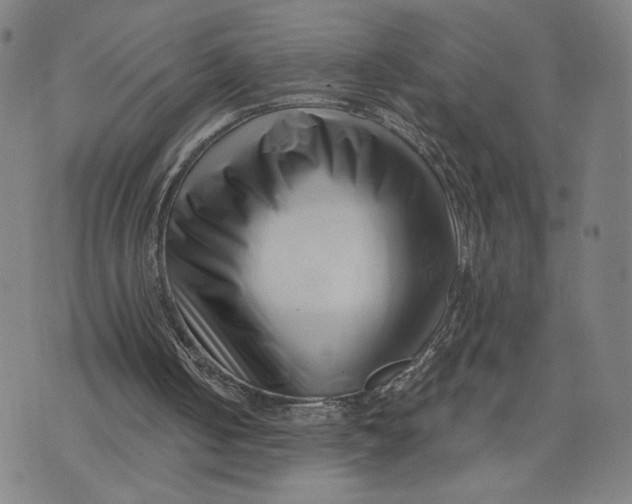 X0000071820050200607211747