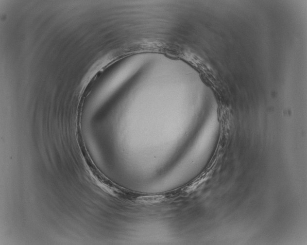 X0000071820051200607211747