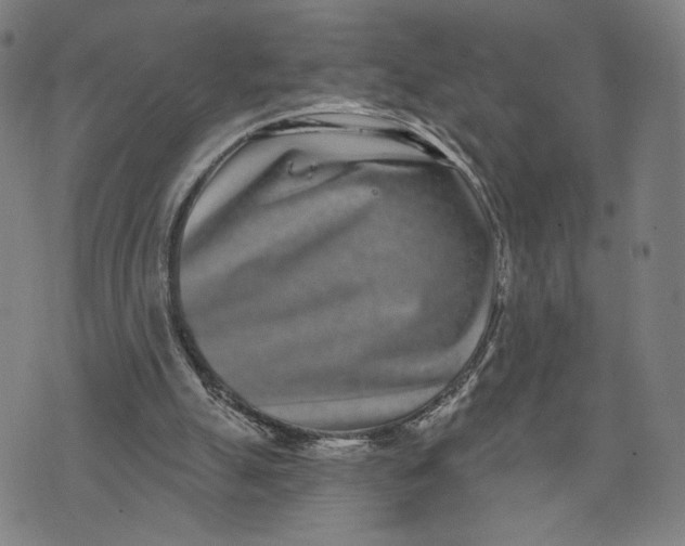 X0000071820055200607211747