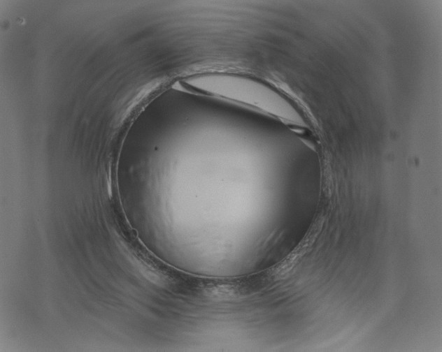X0000071820062200607211747