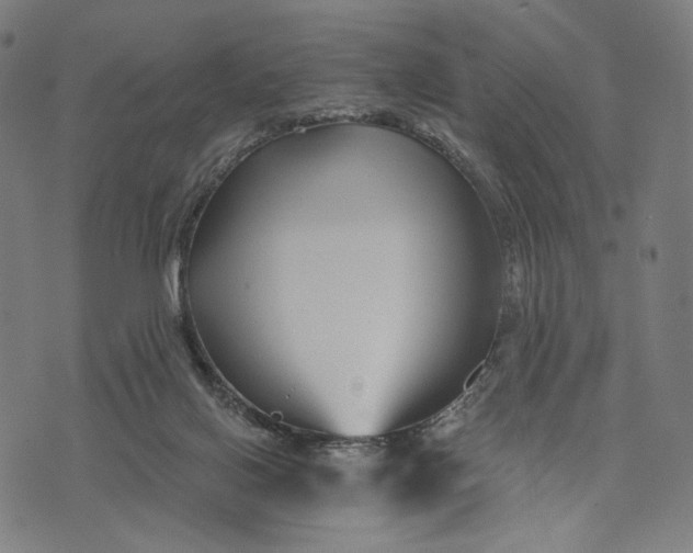 X0000071820070200607211747