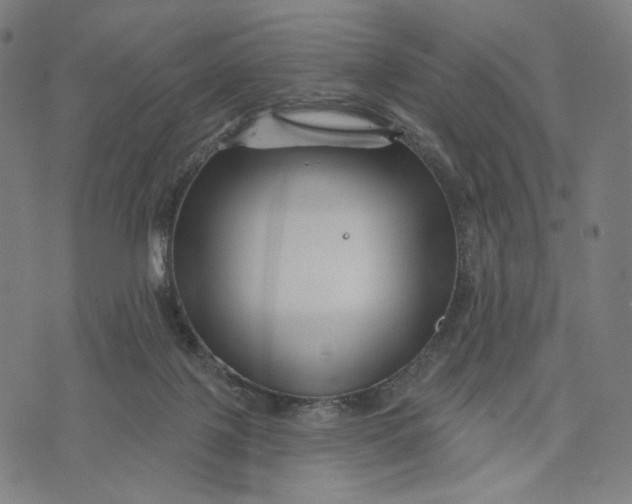 X0000071820075200607211747