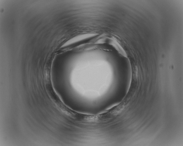 X0000071820084200607211747