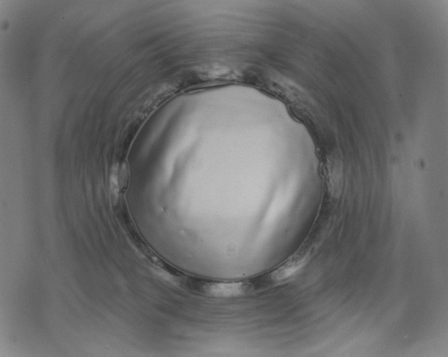 X0000071820085200607211747