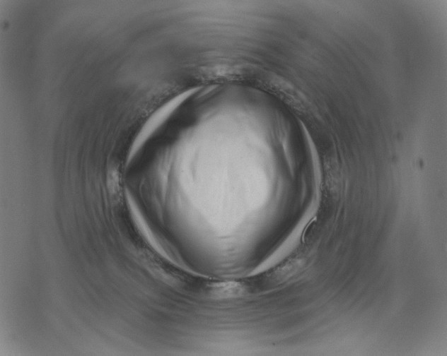 X0000071820087200607211747