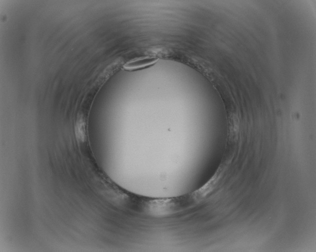 X0000071820090200607211747