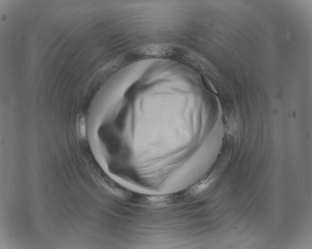 X0000071820095200607211747