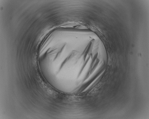 X0000071820098200607211747