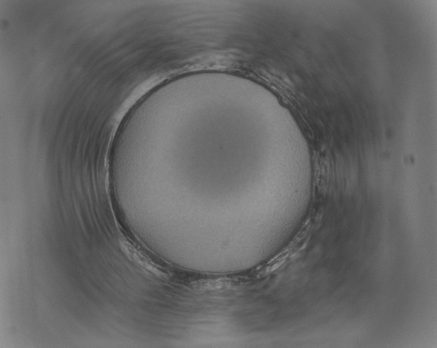 X0000071820100200607211747