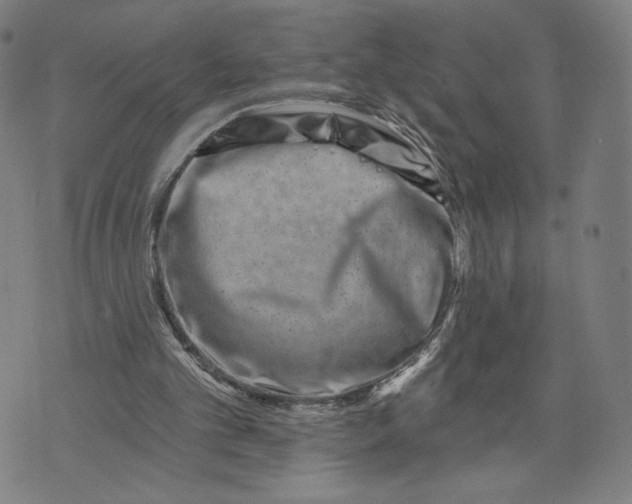 X0000071820101200607211747