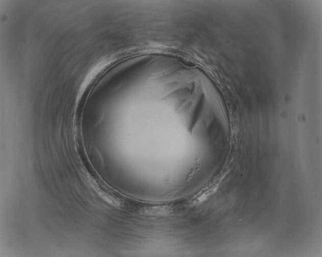 X0000071820102200607211747