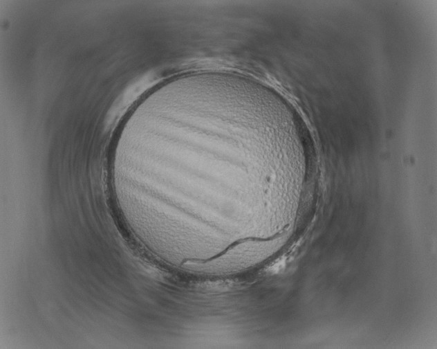 X0000071820103200607211747