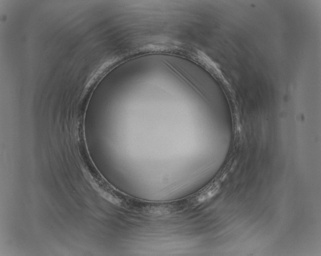X0000071820106200607211747