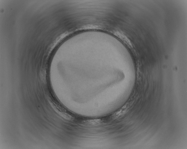X0000071820108200607211747