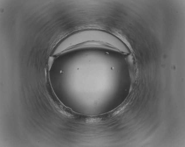 X0000071820109200607211747