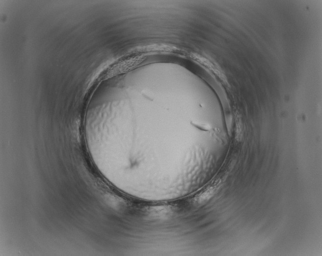 X0000071820111200607211746