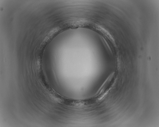 X0000071820113200607211746