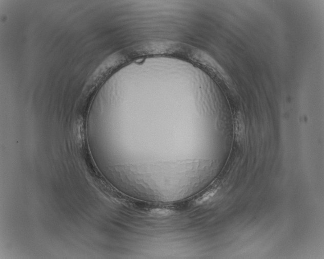X0000071820119200607211746