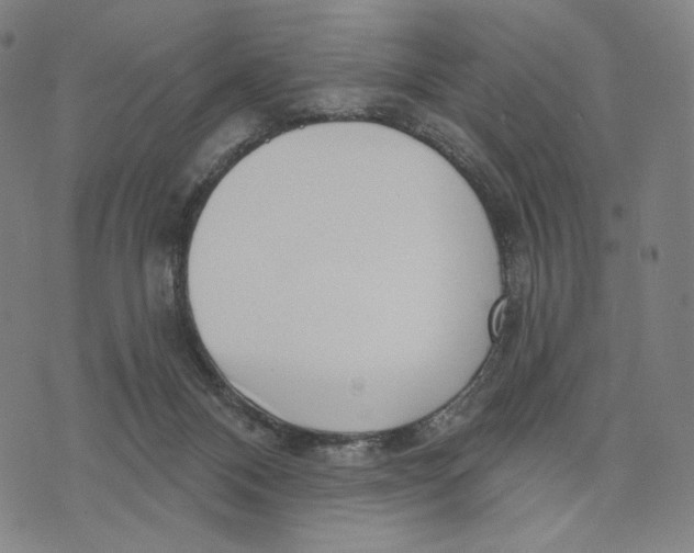X0000071820120200607211746