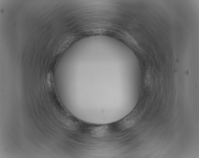 X0000071820122200607211746