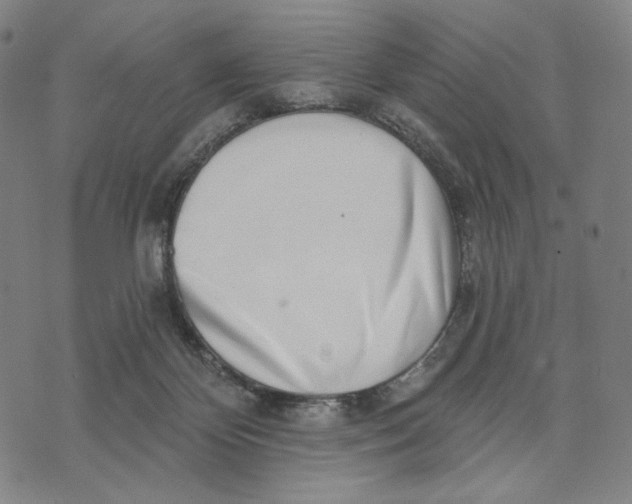 X0000071820124200607211746