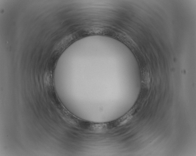 X0000071820126200607211746