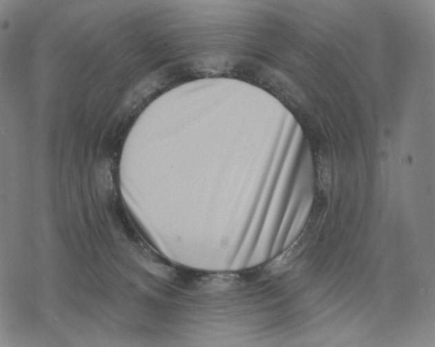 X0000071820128200607211746