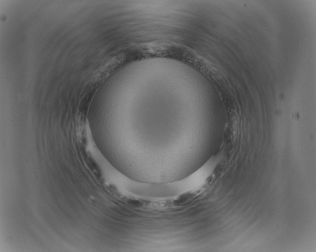 X0000071820129200607211746