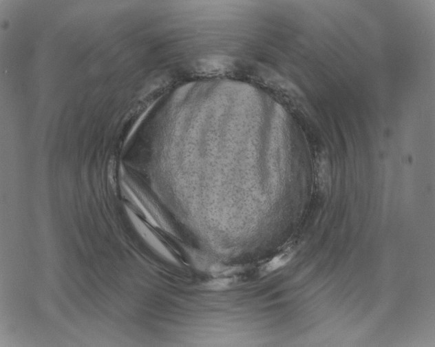 X0000071820131200607211746