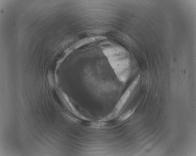 X0000071820143200607211746