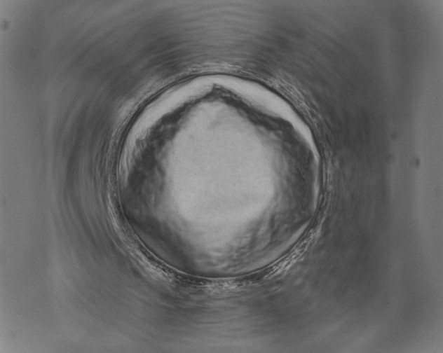 X0000071820145200607211745