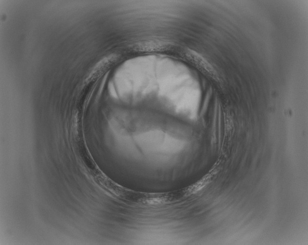 X0000071820163200607211745