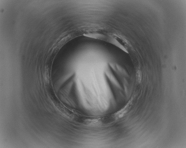 X0000071820170200607211746
