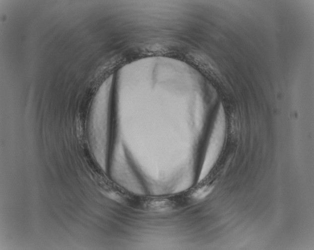 X0000071820173200607211746