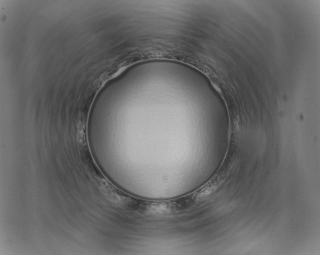 X0000071820177200607211746