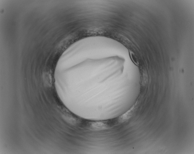 X0000071820183200607211746
