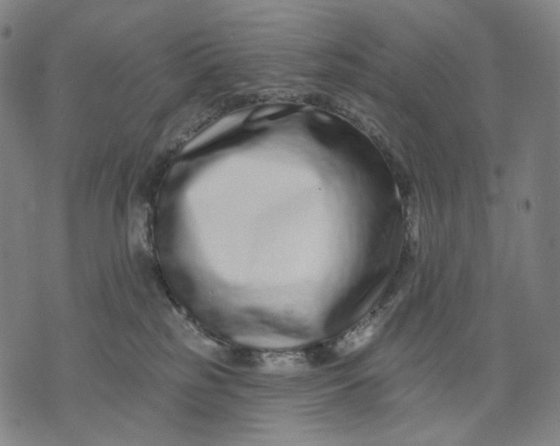 X0000071820185200607211746