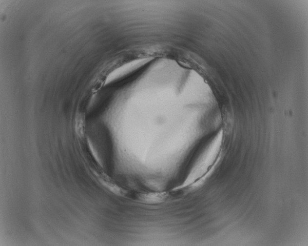 X0000071820191200607211746