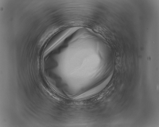X0000071820194200607211745