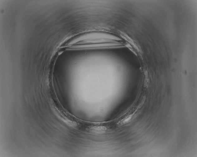 X0000071820203200607211745