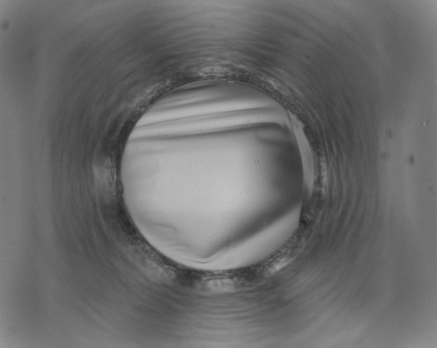 X0000071820228200607211745