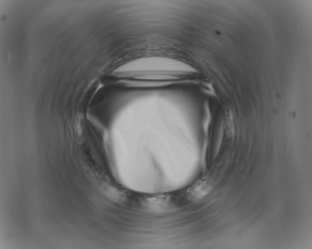 X0000071820232200607211744