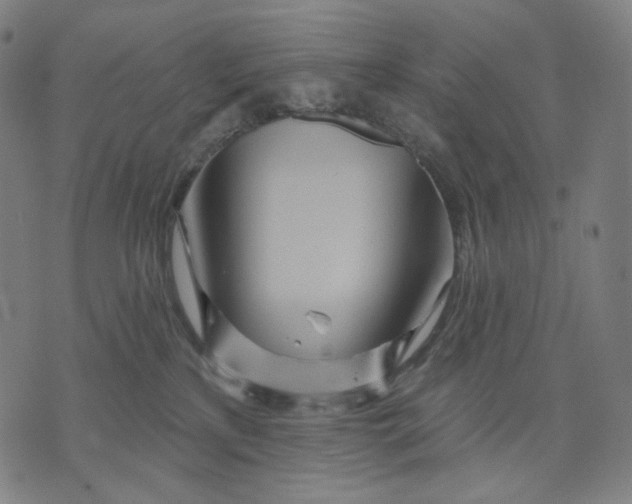 X0000071820233200607211744