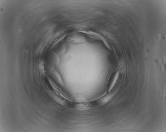 X0000071820238200607211744