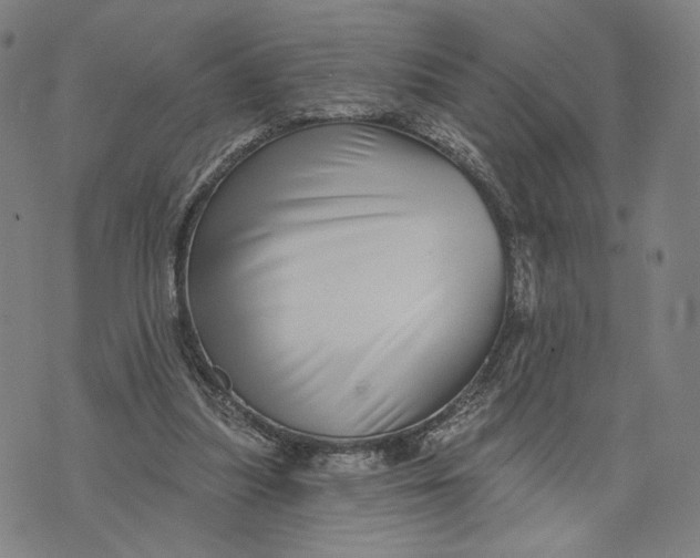 X0000071820251200607211744